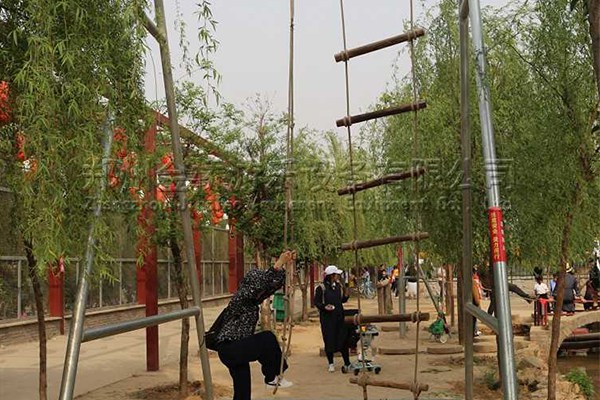 云梯_體能樂(lè)園